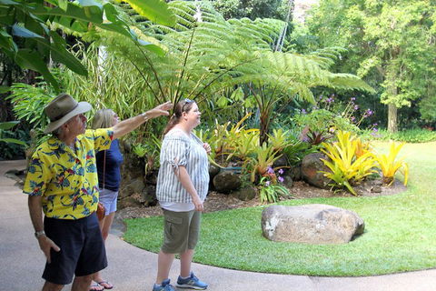 Cairns Shore Excursion: Cairns City Sights & Surrounds Tour - Accommodation BNB 4