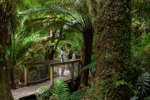 Great Ocean Road To Grampians 2 Day 1 Night Tour From Melbourne To Adelaide - Accommodation BNB 0