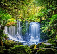 Day Tour in Mt. Field Mt. Wellington Bonorong Wildlife Sanctuary and Richmond - Accommodation BNB
