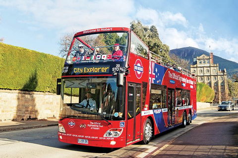 Hobart Hop-On Hop-Off Bus & Kunanyi/Mt Wellington Tour - Accommodation BNB 4