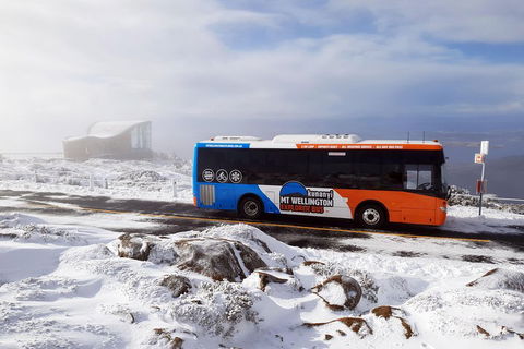 Hobart Hop-On Hop-Off Bus & Kunanyi/Mt Wellington Tour - Accommodation BNB 5