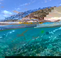 Great Barrier Reef Scenic Flight and Ocean Rafting Whitehaven Beach Day Trip - Accommodation BNB