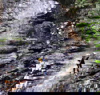 Full-Day Canyoning Experience at Stunning Empress Canyon - Accommodation BNB