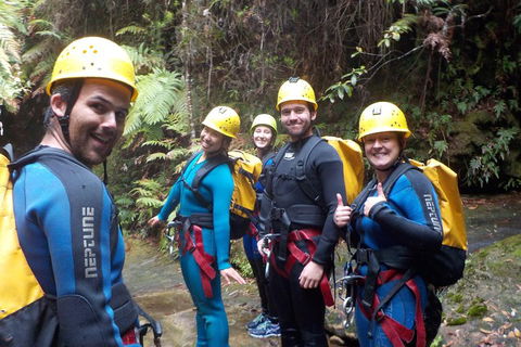 Full-Day Canyoning Experience At Stunning Empress Canyon - Accommodation BNB 1