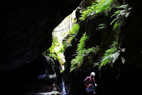Full-Day Canyoning Experience At Stunning Empress Canyon - Accommodation BNB 2