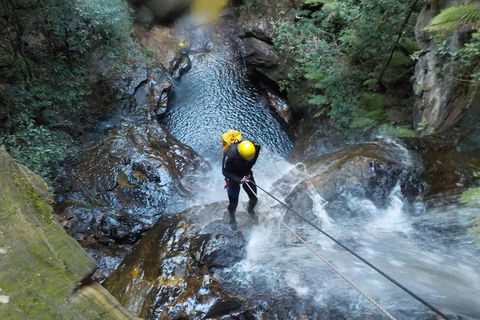 Full-Day Canyoning Experience At Stunning Empress Canyon - Accommodation BNB 4