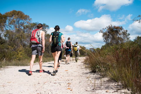 Pittwater Discovery Kayaking Tour - Accommodation BNB 0