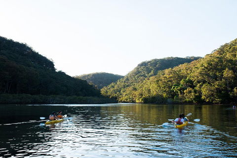 Pittwater Discovery Kayaking Tour - Accommodation BNB 1