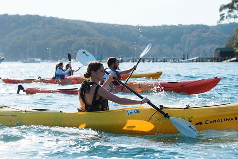 Pittwater Discovery Kayaking Tour - Accommodation BNB 2