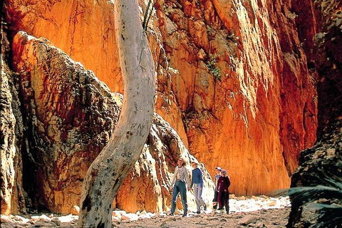 West MacDonnell Ranges Day Trip From Alice Springs - Accommodation BNB 3