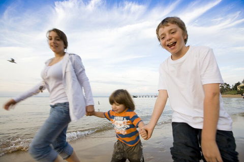 Phillip Island Penguin And Koala Highlights Day-Trip From Melbourne - Accommodation BNB 0