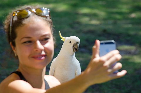 Small-Group Great Ocean Road Experience And Surf Coast Tour - Accommodation BNB 3
