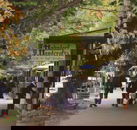 Adelaide Highlights Hahndorf  McLaren Vale Wine Tasting and Sightseeing Tour - Accommodation BNB