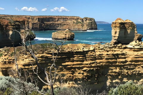 Great Ocean Road Reverse Itinerary Tour - Accommodation BNB 1