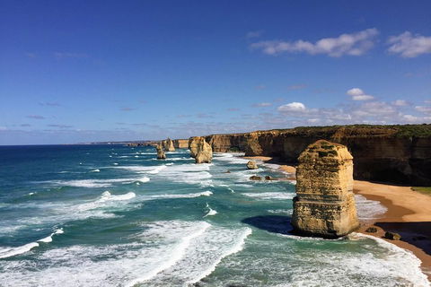 Great Ocean Road Reverse Itinerary Tour - Accommodation BNB 4
