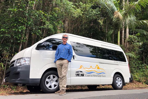 Sunshine Coast Hinterland Rainforest, Views And Montville Day Tour Inc. Lunch - Accommodation BNB 1
