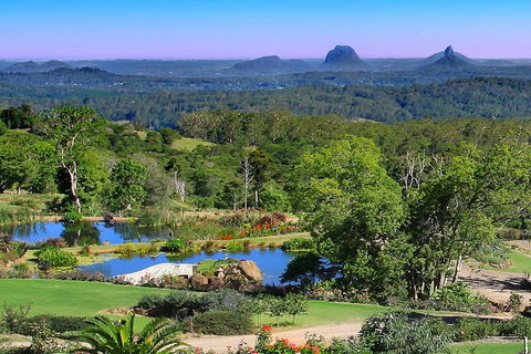 Sunshine Coast Hinterland Rainforest, Views And Montville Day Tour Inc. Lunch - Accommodation BNB 5