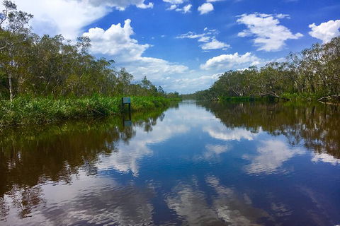 Noosa Everglades Serenity Cruise & Highlights Tour Inc. Lunch & Cruise - Accommodation BNB 0