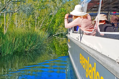 Noosa Everglades Serenity Cruise & Highlights Tour Inc. Lunch & Cruise - Accommodation BNB 2