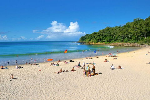 Noosa Everglades Serenity Cruise & Highlights Tour Inc. Lunch & Cruise - Accommodation BNB 4