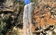 Springbrook Full Day Tour - thumb 2
