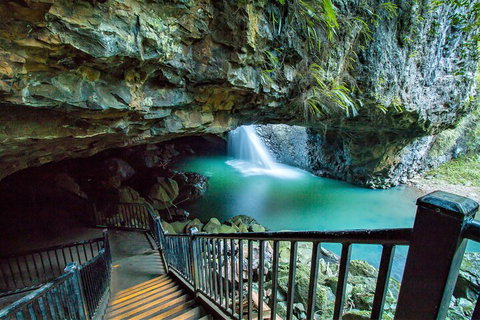 Springbrook Full Day Tour - Accommodation BNB 4