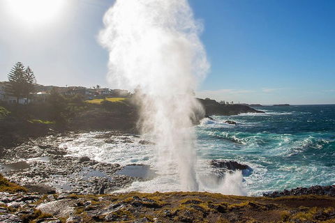 Private Tour: Sydney South Coast & Highlands - Accommodation BNB 2