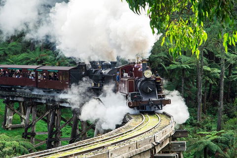 Puffing Billy And Healesville Sanctuary Scenic Tour - Accommodation BNB 1