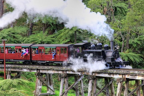 Puffing Billy And Healesville Sanctuary Scenic Tour - Accommodation BNB 2