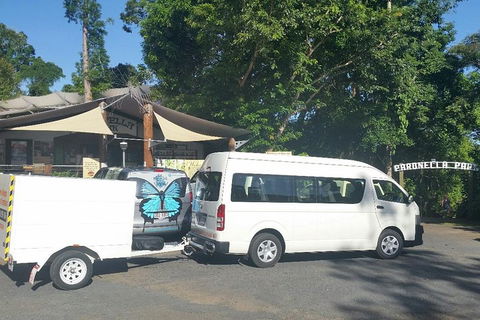 Airport Transfer To Or From Cairns Hotels For Up To 13 People - Accommodation BNB 4