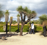 1 Day Exclusively Private Tour Of Phillip Island  The Penguin Parade