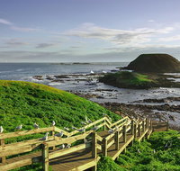 Full-Day Private Australian Wildlife Tour of Phillip Island