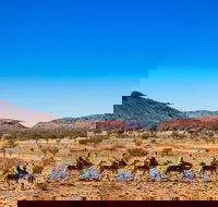 Alice Springs Camel Tour - Accommodation BNB