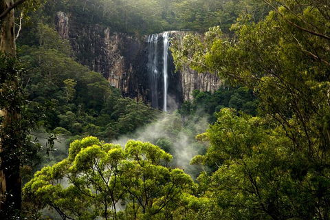 Hinterland Magic & Glow-worm Experience - Accommodation BNB 4
