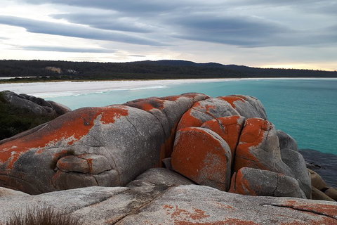 3-Day Bay Of Fires Photography Workshop From Hobart - Accommodation BNB 0