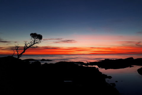 3-Day Bay Of Fires Photography Workshop From Hobart - Accommodation BNB 1