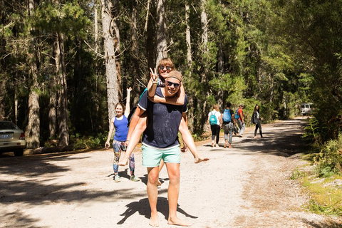 7-Day Best Of Tasmania Adventure Experience From Hobart (flexible Ticket) - Accommodation BNB 5