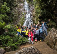 5-Day Lap of Tasmania Tour from Hobart flexible ticket - Accommodation BNB