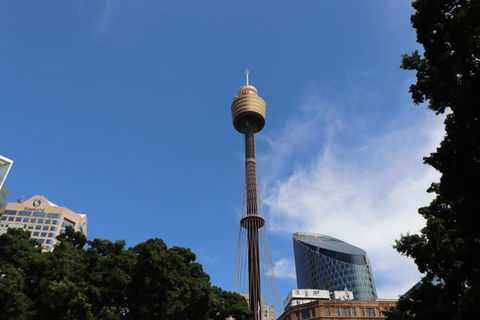 Private Sydney City Customized Tour - Accommodation BNB 0
