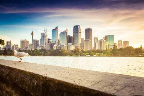 Private Sydney City And Bondi Beach Half Day Tour - Accommodation BNB 2