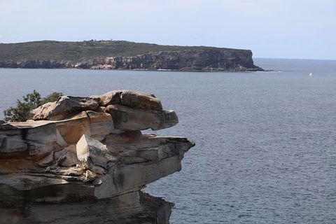 Private Sydney City And Bondi Beach Half Day Tour - Accommodation BNB 3