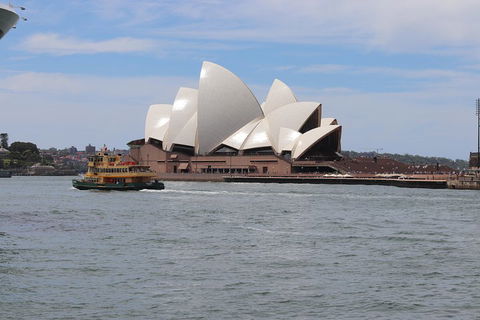 Private Sydney City And Bondi Beach Half Day Tour - Accommodation BNB 5