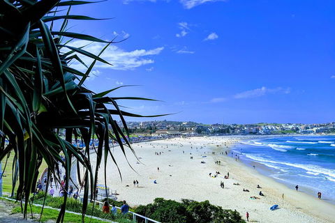 Sydney Secrets & Bondi Private 4 Hour Afternoon With 'Personalised Sydney Tours' - Accommodation BNB 0