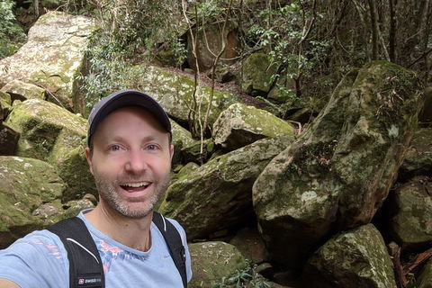 Australian Wildlife & Waterfalls Private Tour With 'Personalised Sydney Tours' - Accommodation BNB 4