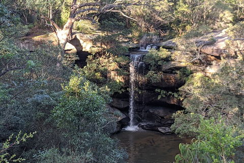 Australian Wildlife & Waterfalls Private Tour With 'Personalised Sydney Tours' - Accommodation BNB 5