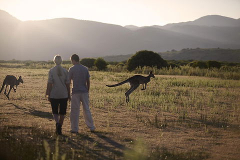 Overnight Daylesford And Macedon Ranges Gourmet Food Trail Tour From Melbourne - Accommodation BNB 1