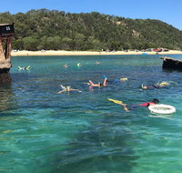 All Inclusive Dolphin and Tangalooma Wrecks Cruise