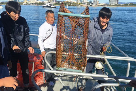 Crab Trip From Gold Coast - Accommodation BNB 1