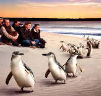 Private Tour Penguin Parade Phillip Island Tour.