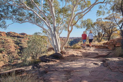 3-Day Tour From Uluru (Ayers Rock) To Alice Springs Via Kings Canyon - Accommodation BNB 1